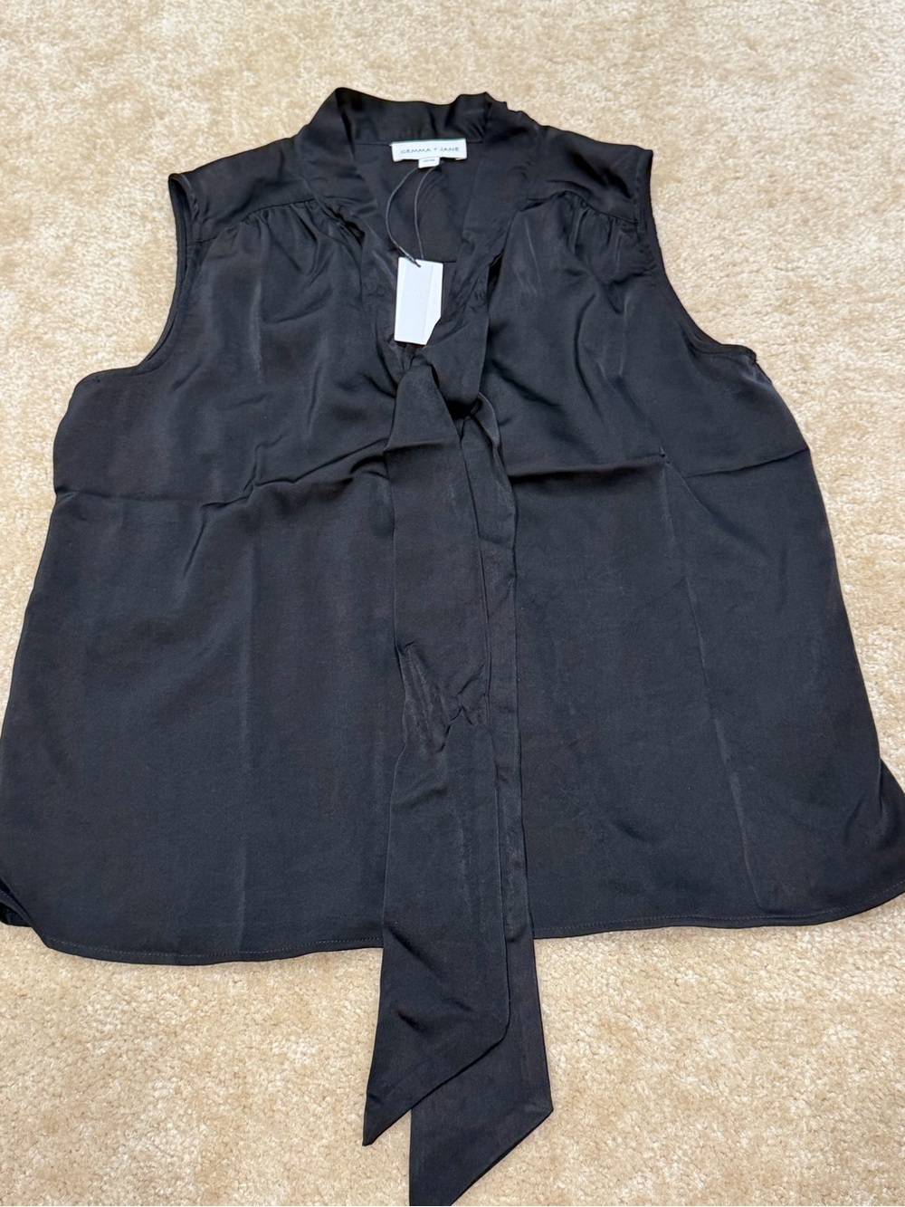 Black Sleeveless Tie-Neck Blouse